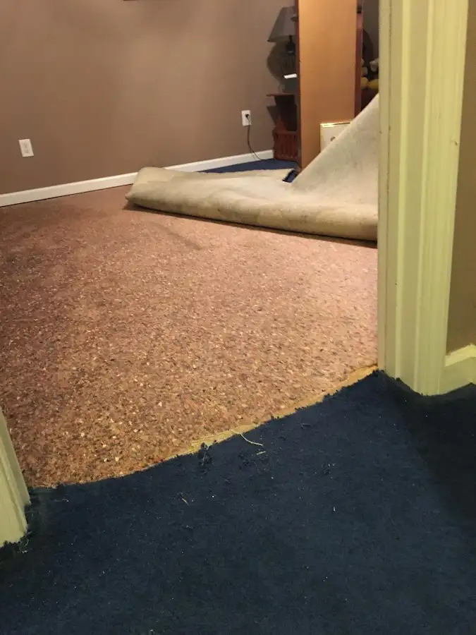 Carpet pad removal revealing water damage during Drying & Dehumidification in Woodburn