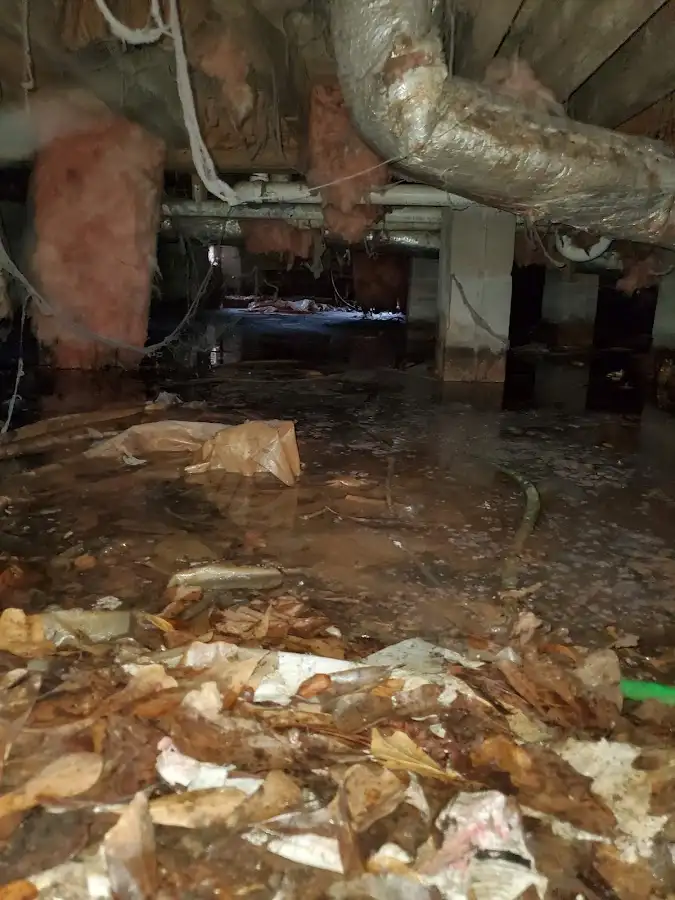 Crawl space flood assessment for Leak Detection & Repair in Woodburn